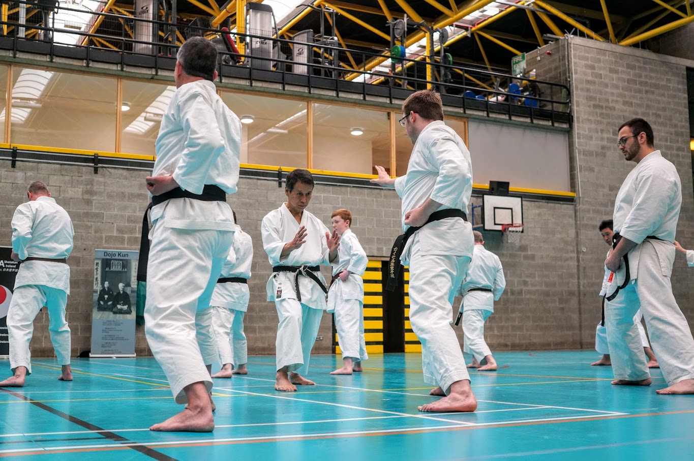 Sensei Masao Kawasoe at a Spring Seminar in UCD, April 2019