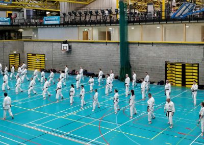 Sensei Masao Kawasoe, JKA 8th Dan leading the special class in UCD