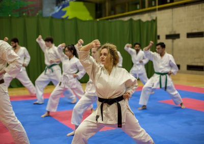 UCD Karate Training before a competition