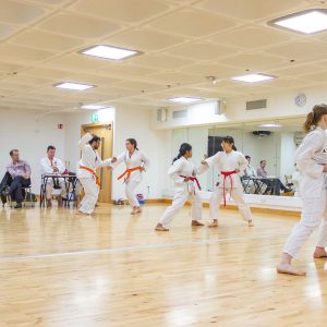 UCD Karate Summer Grading 2019