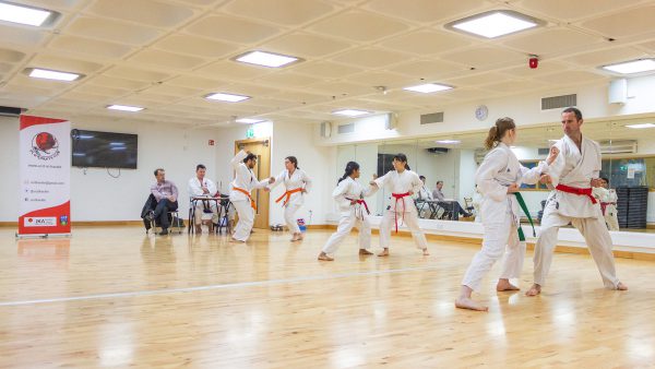 UCD Karate Summer Grading 2019