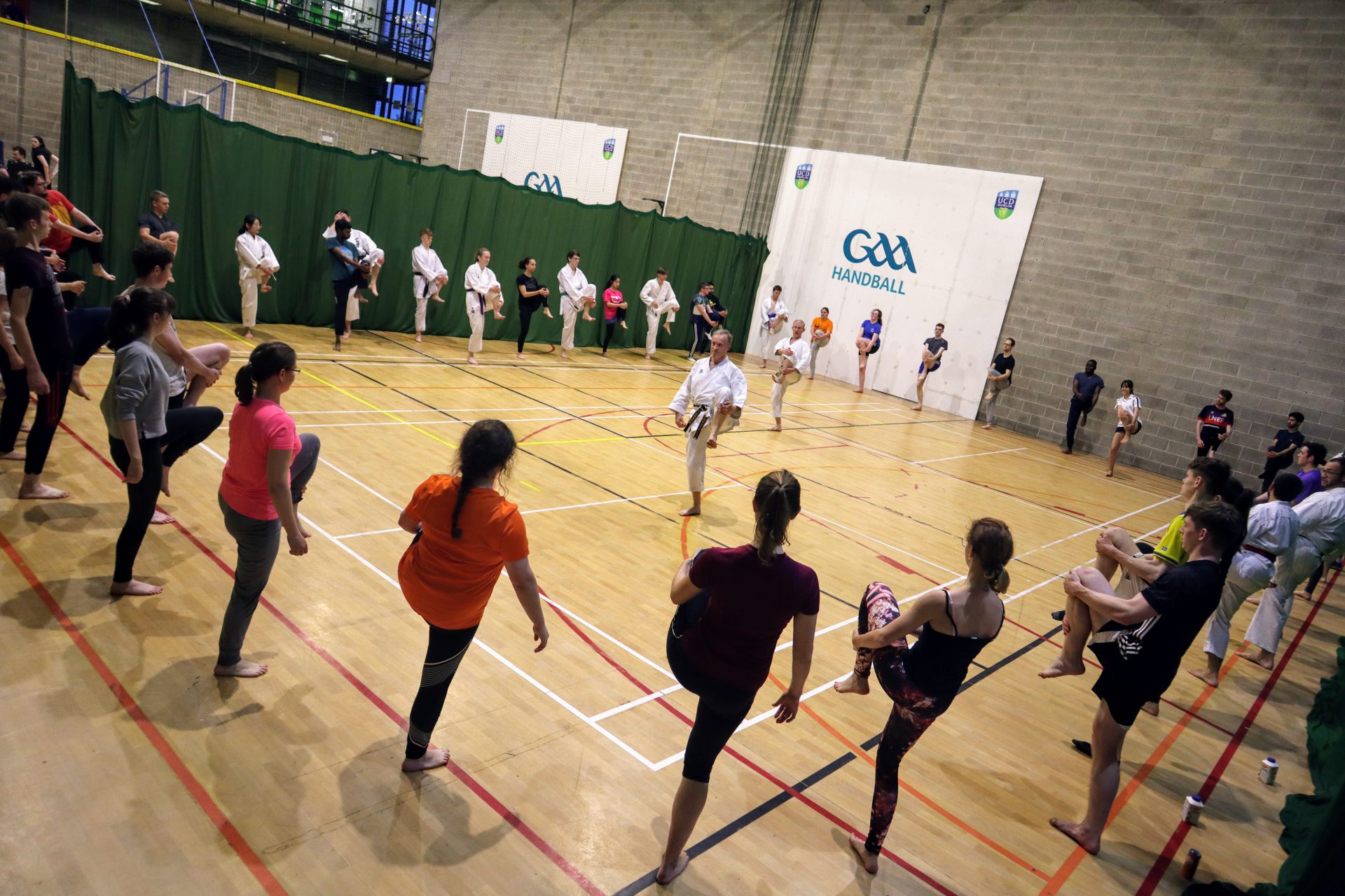 UCD Karate Freshers Class 2019