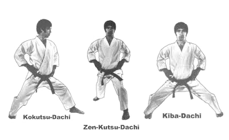 Karate basic kihon stances